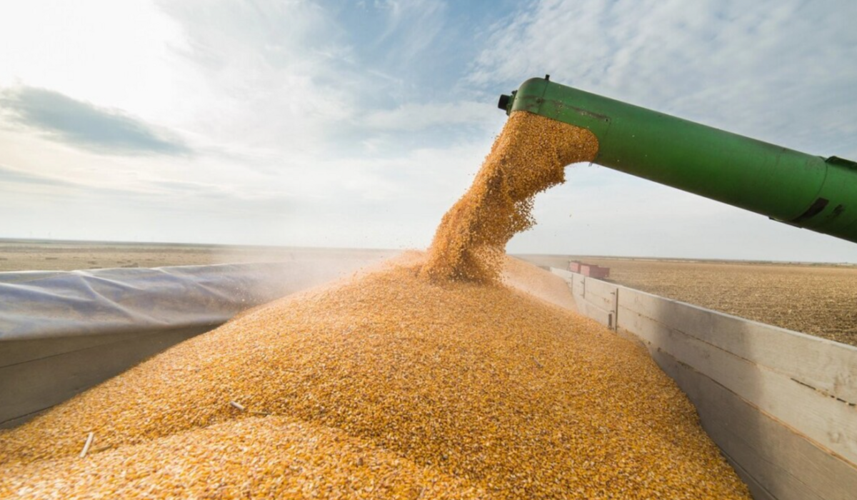 Украина может увеличить экспорт аграрной продукции вдвое: что известно фото