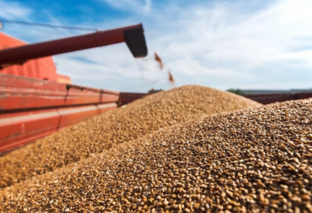 Латвія вимагає від ЄС заборонити російське зерно та пропонує цікаву альтернативу 