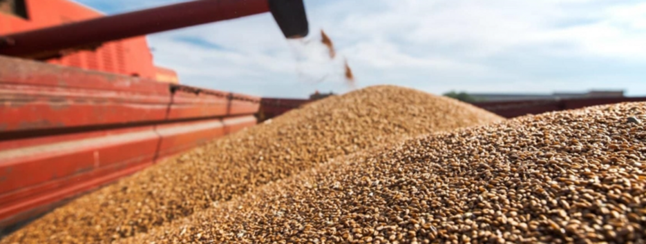 Латвія вимагає від ЄС заборонити російське зерно та пропонує цікаву альтернативу 