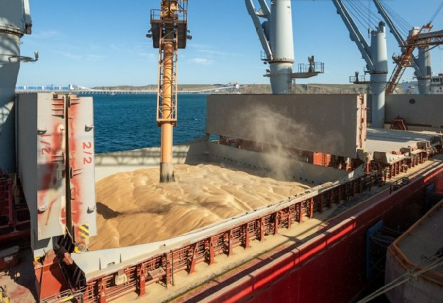 Окупанти 2024 року вивезли з порту Маріуполя понад 20 тисяч тонн краденого зерна - фото 1