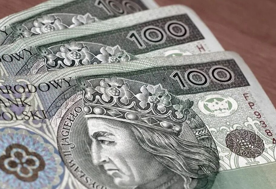 Украинские бизнесмены уплатили в бюджет Польши более 5 млрд злотых - фото 1