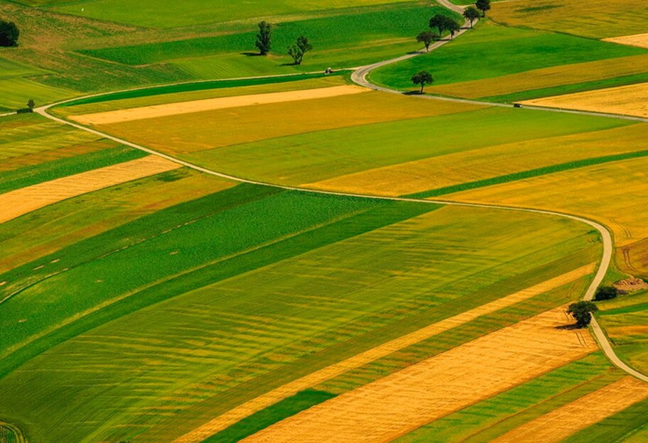 В Украине в 2023 году продали более 114 000 гектаров сельхозземель - фото 1