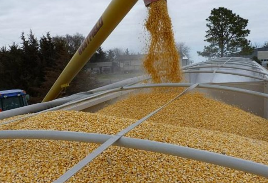 Заборона імпорту зерна з рф - Литва, Латвія, Естонія, Польща та Чехія звернулися до ЄС - фото 1