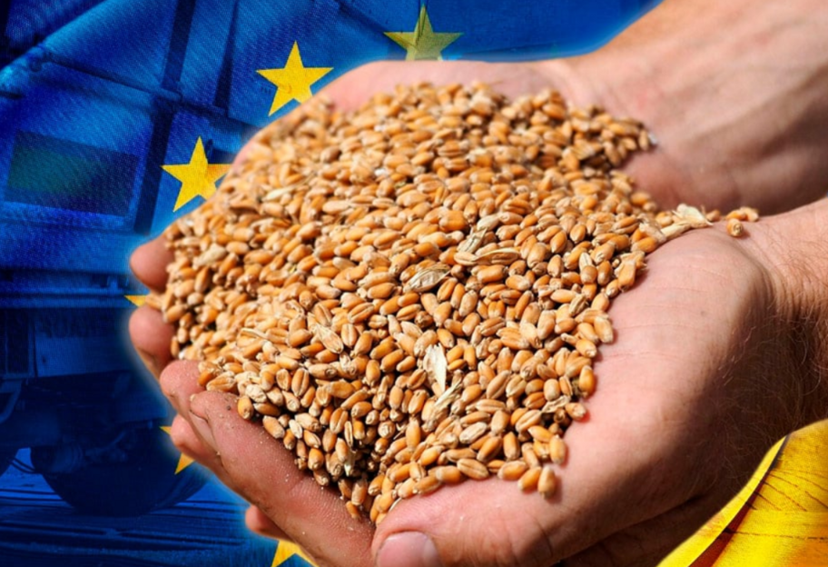 Импорт зерна из рф и Беларуси - Европейская комиссия предложила ввести тарифы - фото 1