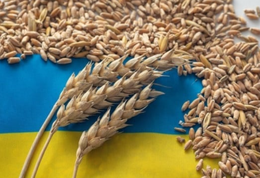 Санкции против России и Беларуси - ЕС готовится ввести пошлины на импорт зерна - фото 1