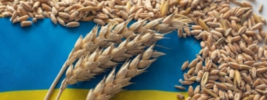 ЕС введет пошлины на импорт российского зерна и не только: детали