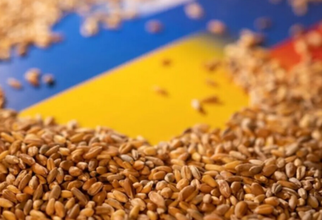 Лицензии на экспорт некоторых украинских агрокультур будут выдаваться только по согласованию Польши: детали