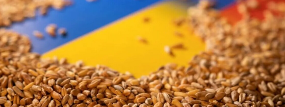 Ліцензії на експорт деяких українських агрокультур видаватимуться лише за погодженням Польщі: деталі 