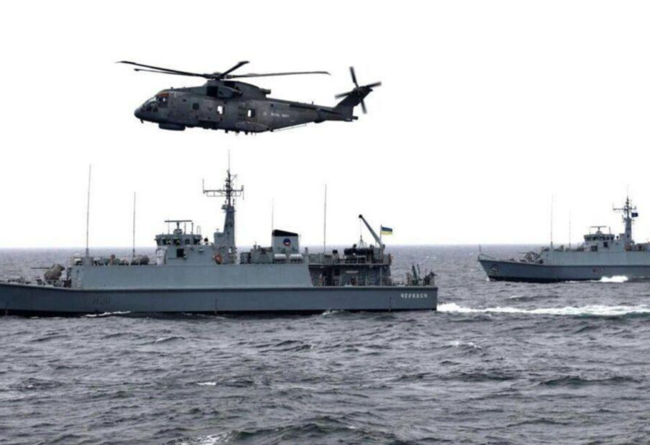 Україна очікує отримати від партнерів щонайменше п'ять протимінних кораблів - ВМС - фото 1