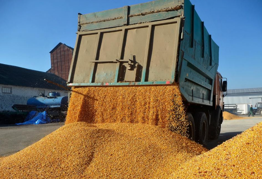 Імпорт зерна з рф і Білорусі - через посилений контроль ввезення аграрної продукції до Литви майже зупинилось - фото 1