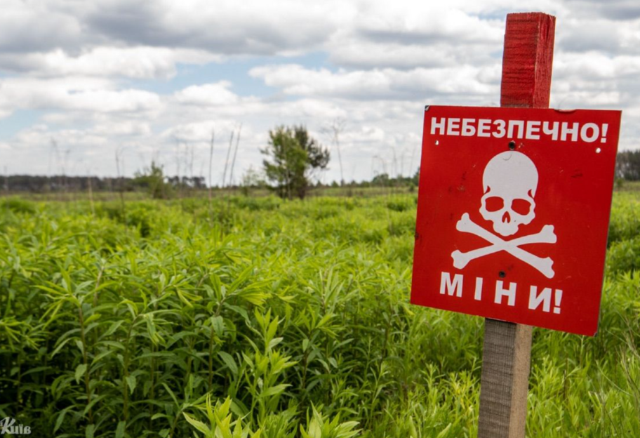 В Україні від початку року розмінували 108 тисяч гектарів земель - фото 1