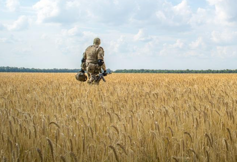 Війна знищила близько 30% потенціалу українського агросектору - Мінагрополітики - фото 1