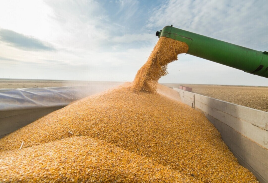 Министры ЕС согласовали высокие тарифы на импорт зерна из рф и Беларуси - фото 1