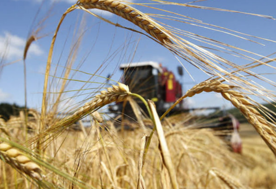 Експорт пшениці з України за рік впаде до 10-річного мінімуму – Мінсільгосп США  - фото 1