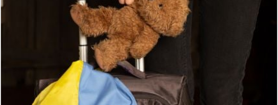 В Венгрии из приютов выселяют украинских беженцев с Запада Украины и ромов из Закарпатья