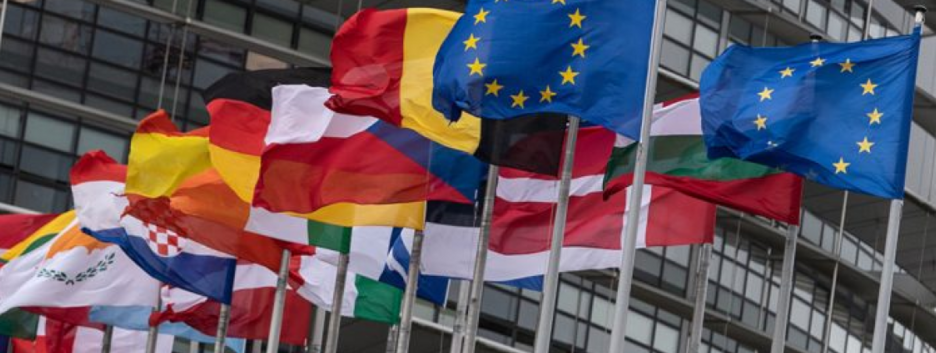 Рада ЄС зупинили дію безвізового режиму для дипломатів та офіційних осіб Грузії