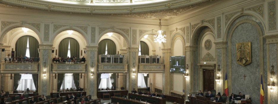 Сенат Румынии одобрили закон, разрешающий сбивать дроны над территорией страны