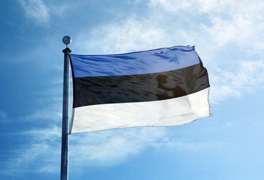 Військова допомога: Естонія передала Україні боєприпаси та провізію - фото 1