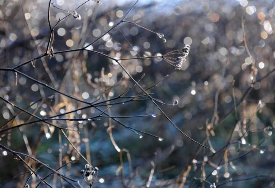 Погода 1-2 марта - синоптики прогнозируют осадки - фото 1