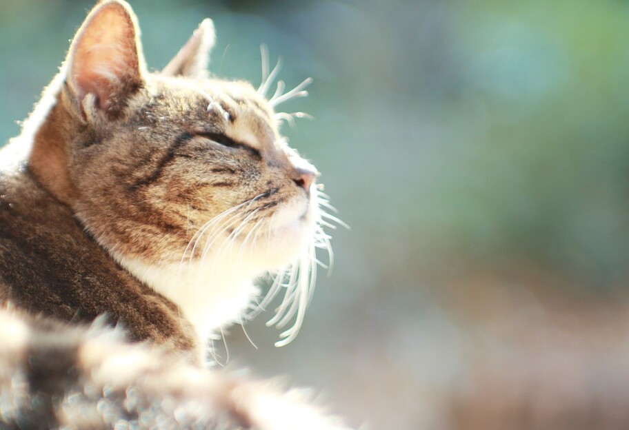 Погода в Украине 6-7 марта - прогноз синоптиков - фото 1