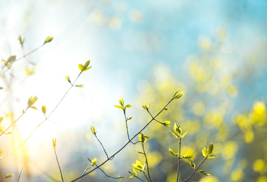 Погода в Украине 8-9 марта – синоптики прогнозируют тепло - фото 1