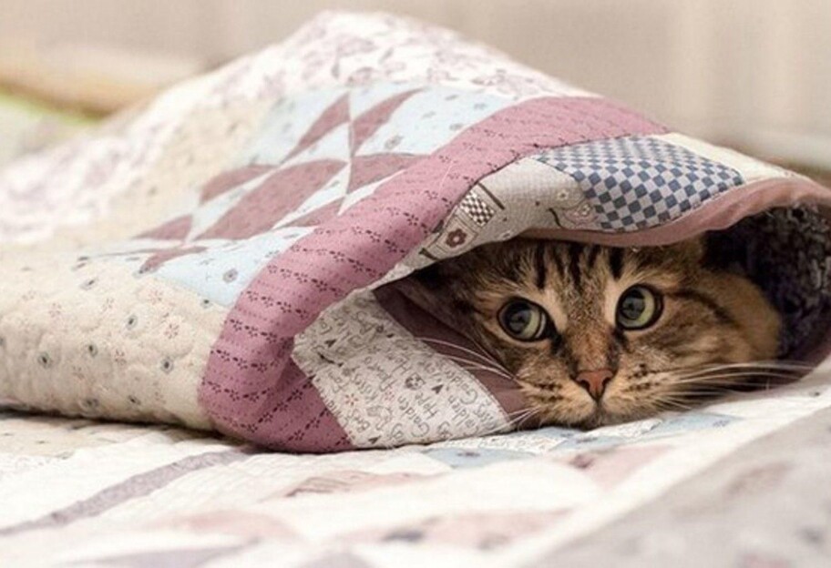 Погода в Україні у березні 2025 - чого очікувати після 15 березня - фото 1