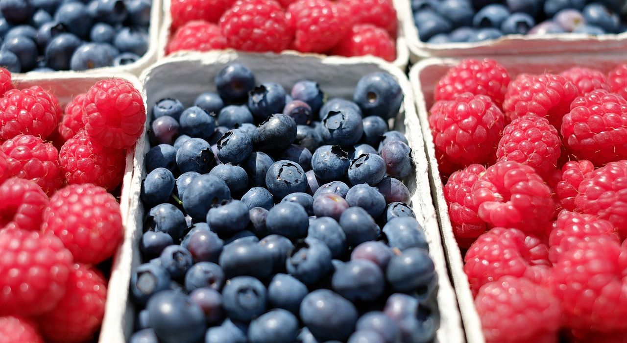 Украина увеличила экспорт ягод в разы
