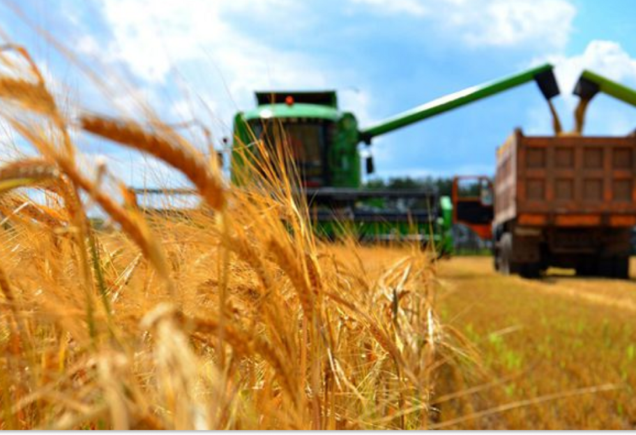 Мінагро: ціна тонни експорту української аграрної продукції зросла в 1,4 раза - фото 1