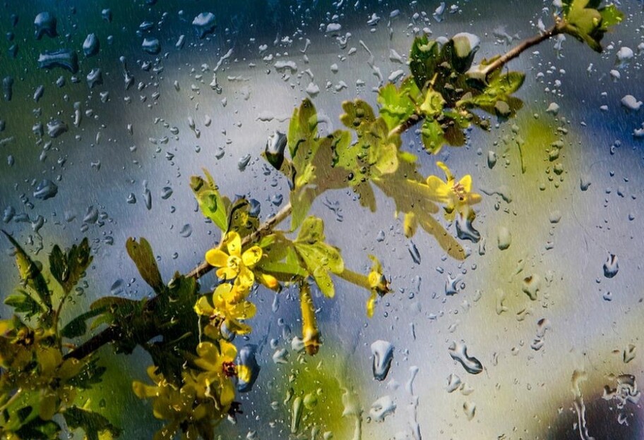 Прогноз погоди 8 травня в Україні - прогноз по містах - фото 1