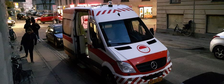 В Дании создали 