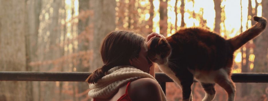 Кошкам все-таки нравится проводить время с людьми (исследование)