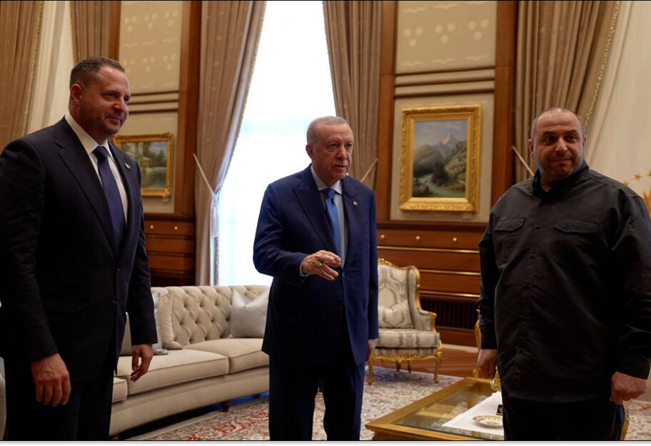 Українська делегація в Анкарі зустрілася з президентом Туреччини Ердоганом - фото 1