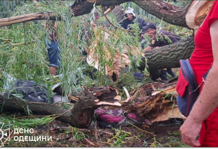 ГСЧС: в результате непогоды в Одесской области погиб подросток - фото 1