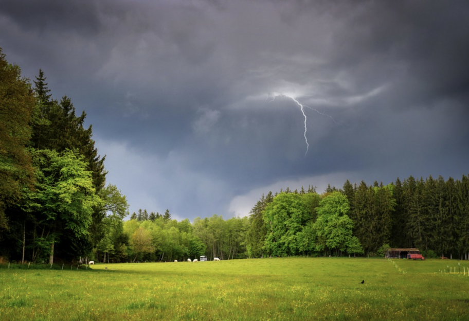 Погода в Україні сьогодні - прогноз з 28 липня по 3 серпня 2025 - фото 1