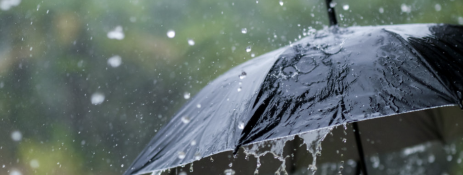 Тиждень почнеться з дощів і гроз: прогноз погоди в Україні з 4 по 10 серпня