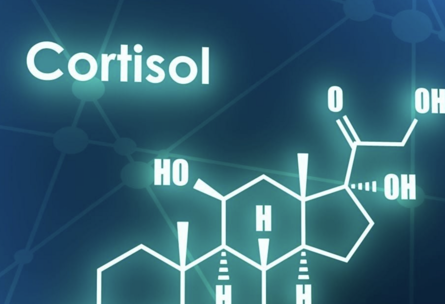 Высокий кортизол – что делать и как стабилизировать - фото 1