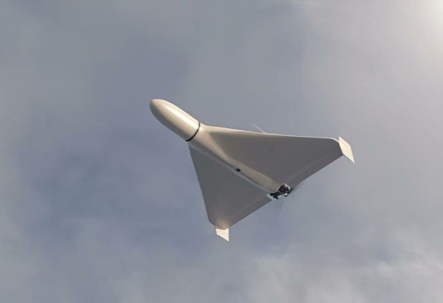 Литва закликала НАТО посилити ППО через дрони рф - фото 1