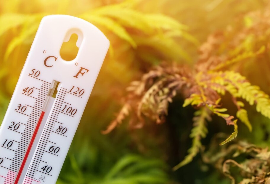 Погода в Украине сегодня – подробный прогноз на 14 августа - фото 1