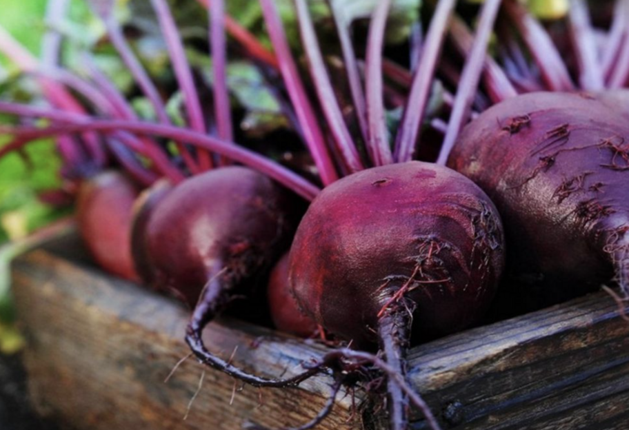 Как определить, что свеклу пора выкапывать - фото 1