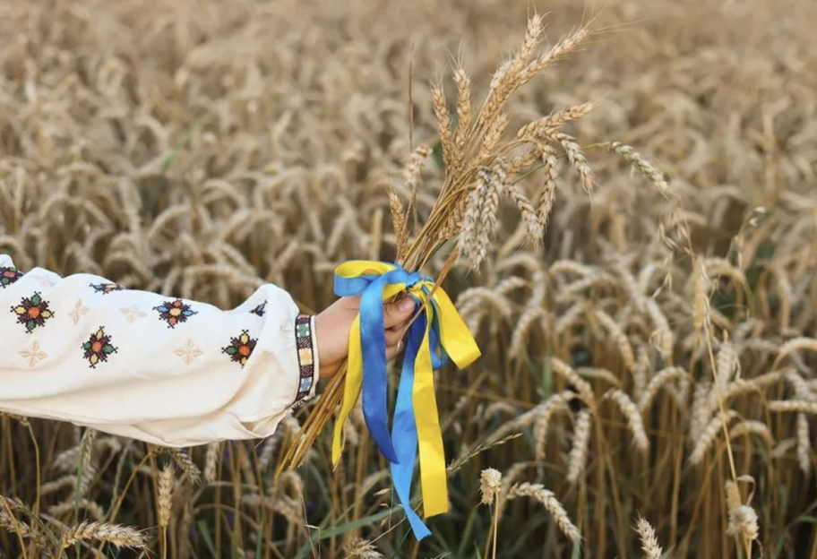 День Независимости Украины 2025 – выходной и открытки - фото 1