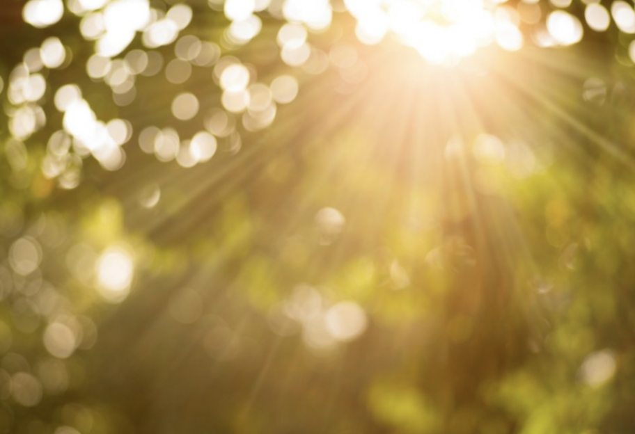 Погода в Украине сегодня – прогноз на 27 августа 2025 - фото 1