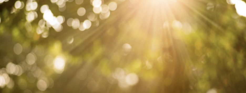 В Украину постепенно возвращается тепло: прогноз погоды на 27 августа