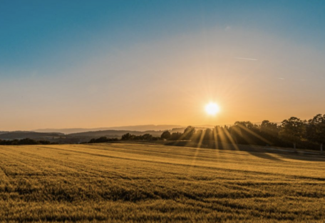 Антициклон принесет солнце и тепло: прогноз погоды в Украине на 28 августа 2025 года