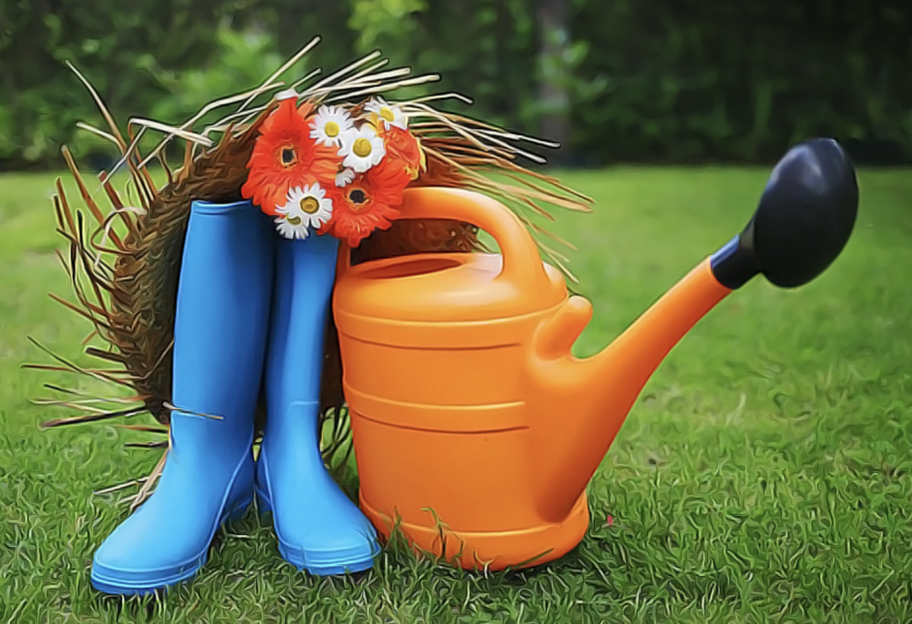 Коли садити й сіяти у вересні 2025 – календар городника - фото 1