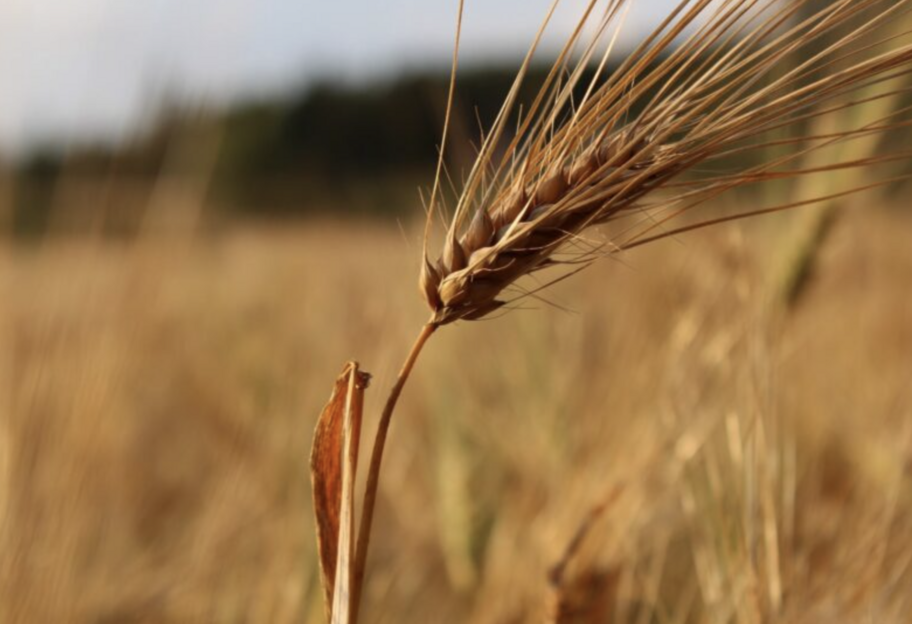 Погода в Україні сьогодні – детальний прогноз на 5 вересня - фото 1