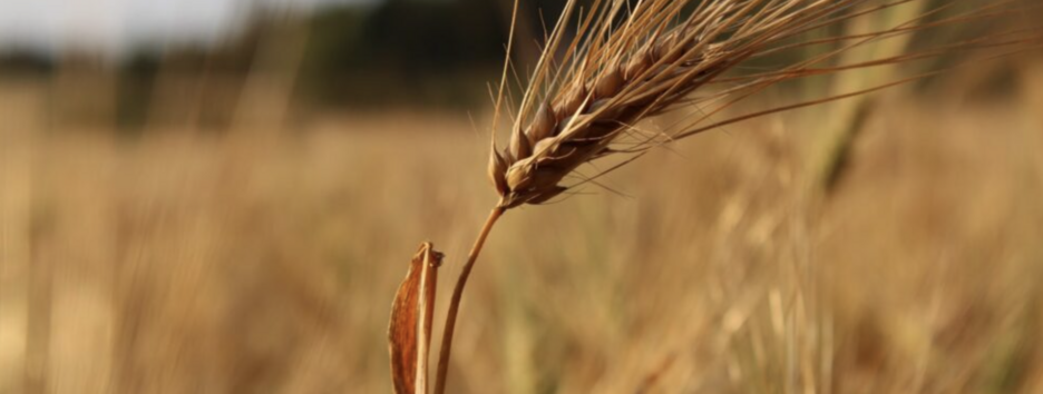 Летняя жара возвращается: прогноз погоды на 5 сентября