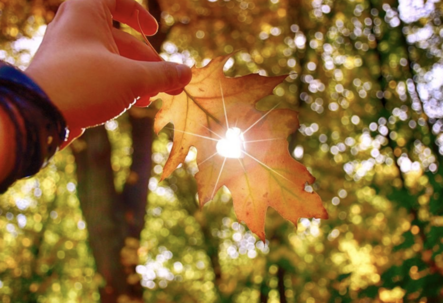 Погода в Україні 22 вересня – прогноз - фото 1