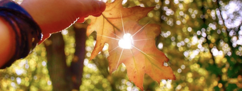 Солнечно и до +27°: подробный прогноз погоды в Украине на 22 сентября