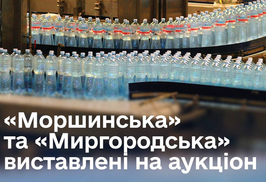 Уряд виставляє на публічні торги активи виробника 