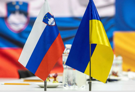 Словения представила Украине свои предложения и наработки по противодействию дронам — Минобороны